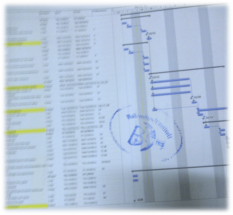 project_man_balcostics