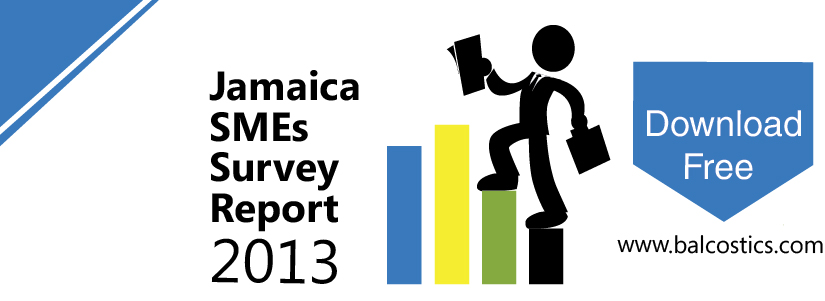 Jamaica SMEs Survey download