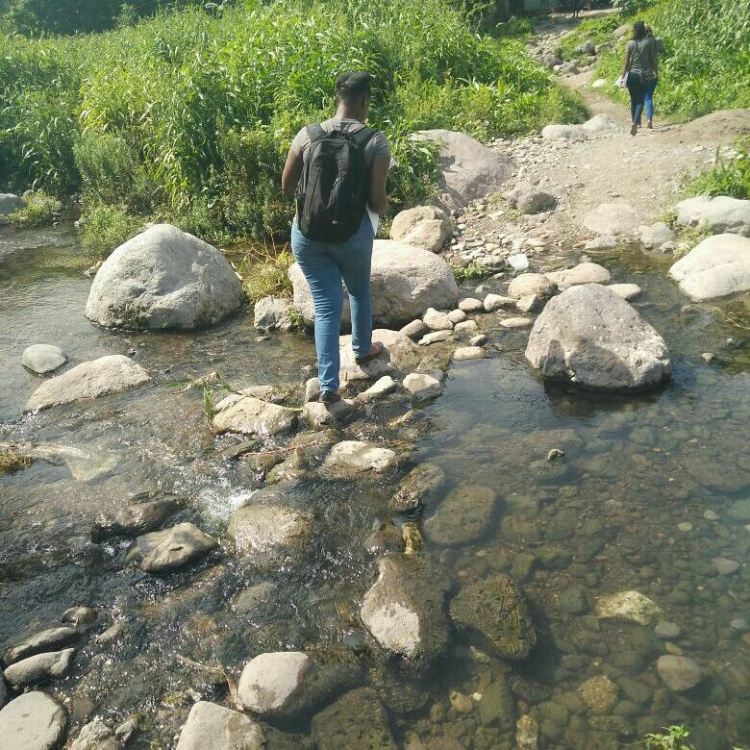 IMG_20171013_142429_337